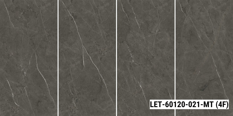 LET-60120-021-MT